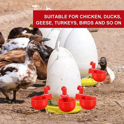 🐓🐔【20 τεμάχια】Αυτόματος τροφοδότης πουλερικών
