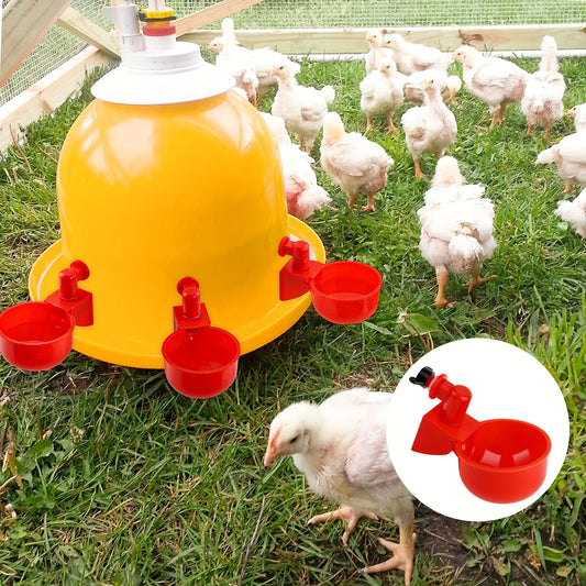 🐓🐔【20 τεμάχια】Αυτόματος τροφοδότης πουλερικών